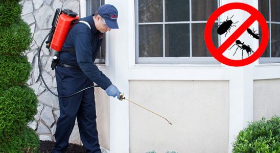 Mihalıççık Böcek İlaçlama böcek ilaçlama ve haşere kontrolü — ilaclama-tr.com